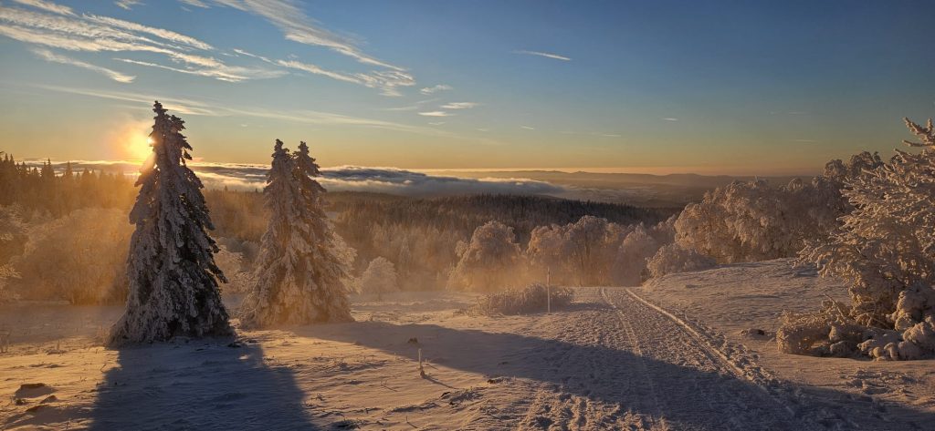 Un hiver sur le mont d'or